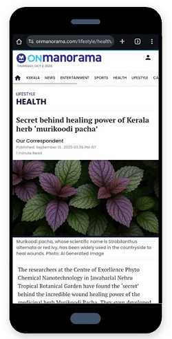 news-articles-3