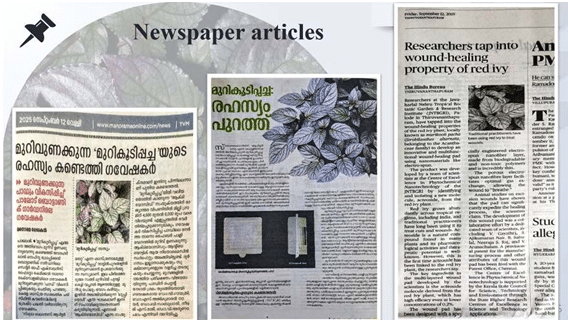news-articles