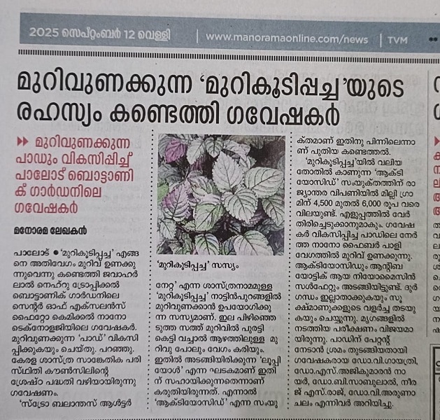 News Paper 1