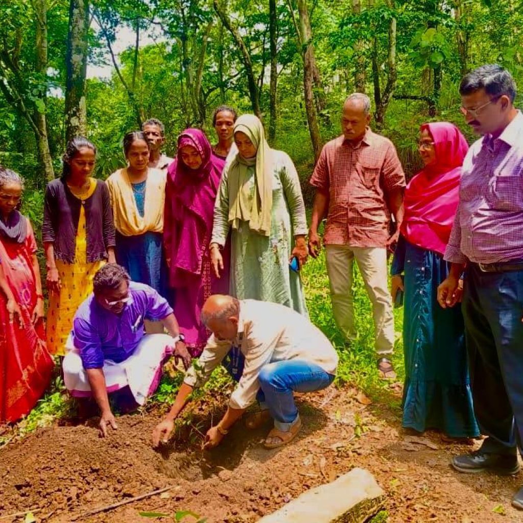 Jothish Sir plant